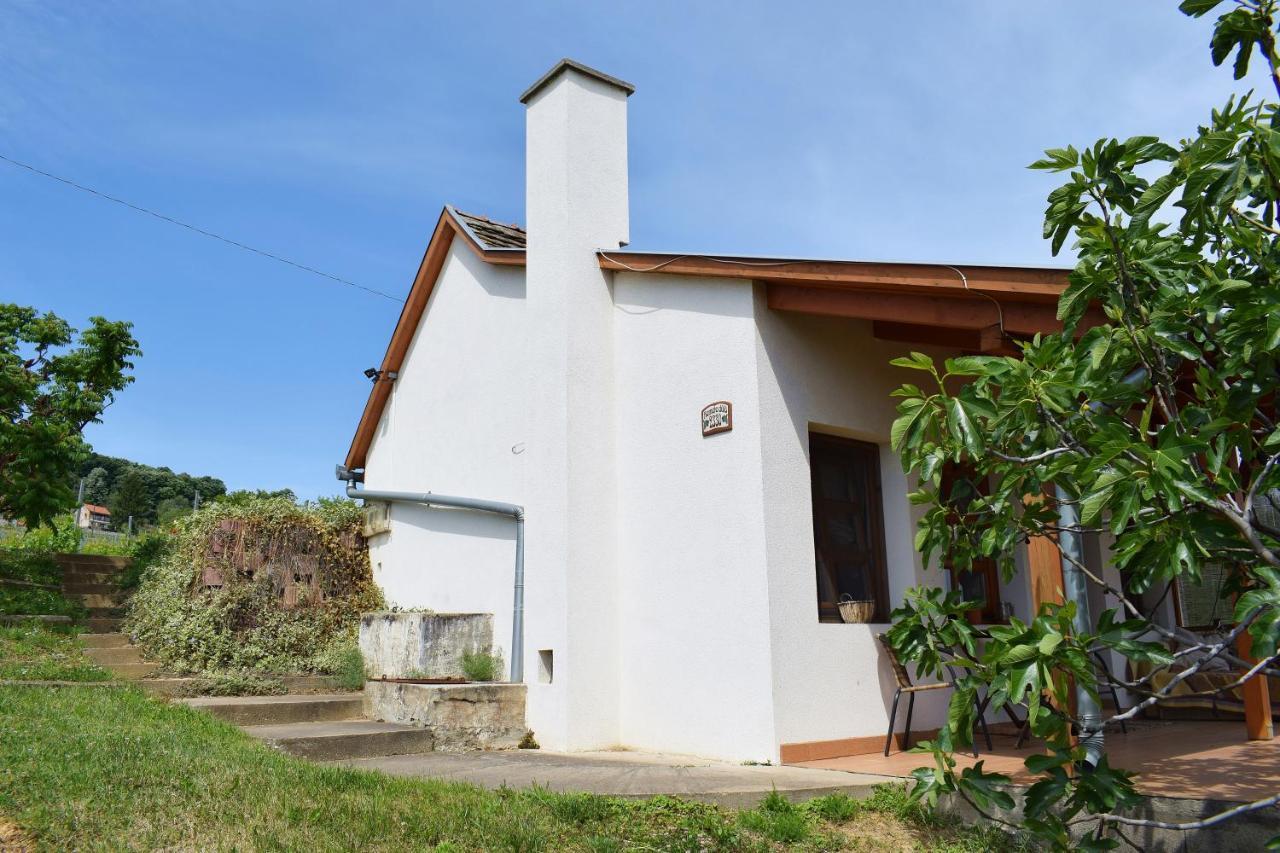 Remete-Lak Hotel Villany Exterior photo