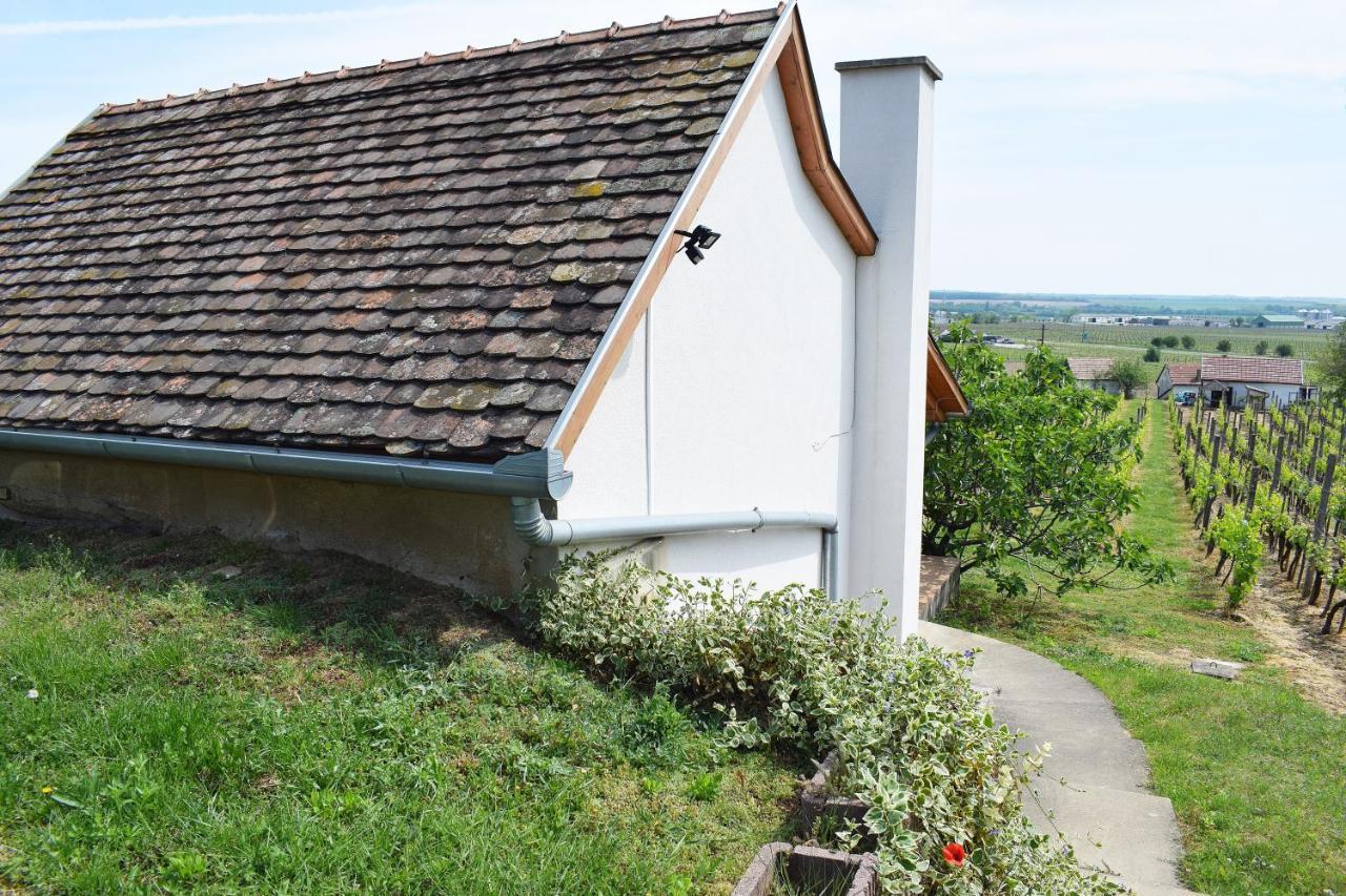 Remete-Lak Hotel Villany Exterior photo