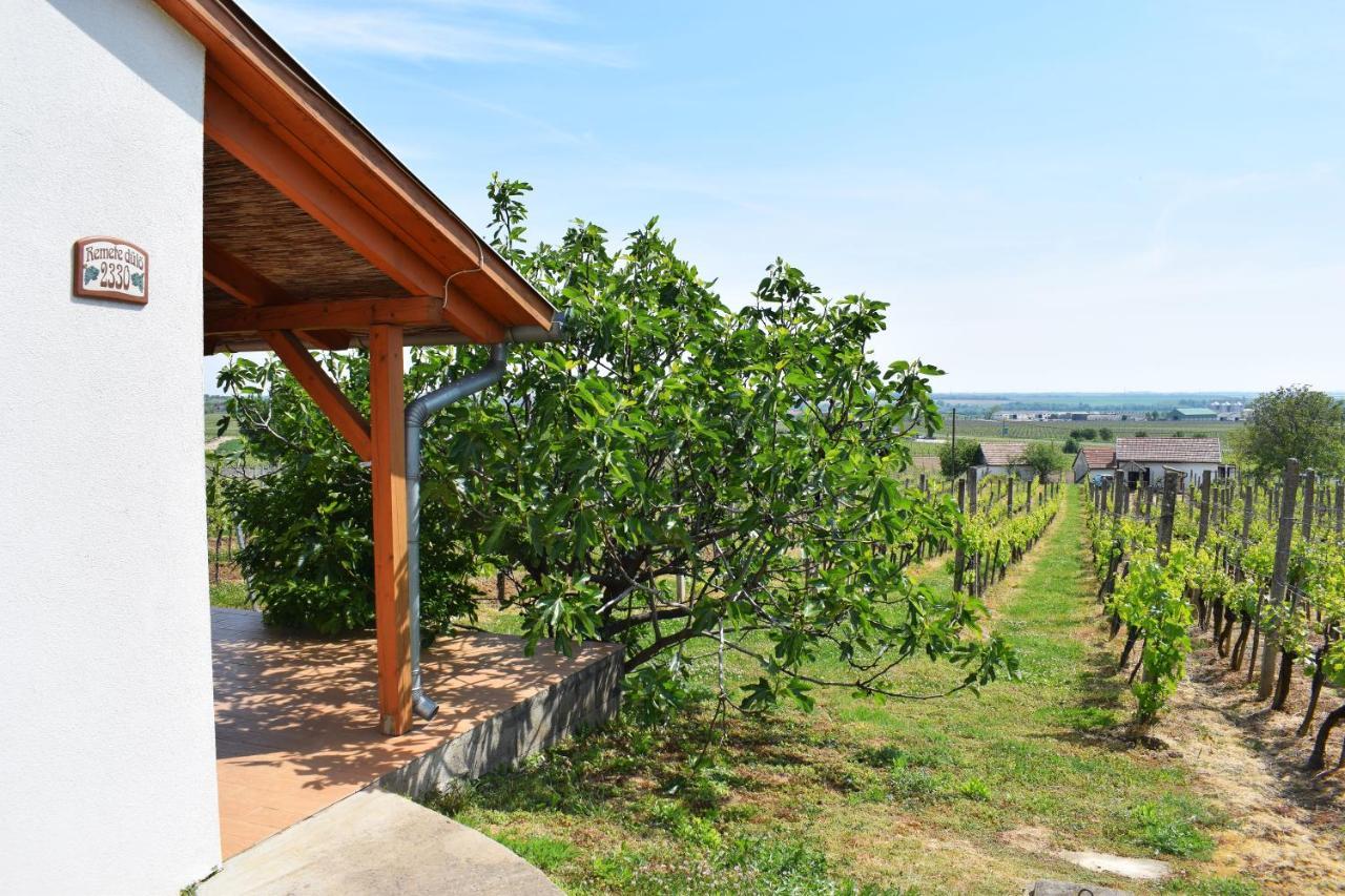 Remete-Lak Hotel Villany Exterior photo